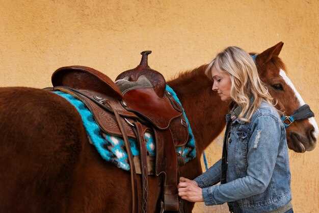 Crie Looks Incríveis – Jogos de Vestir Cavalos e Moda Equestre Divertida
